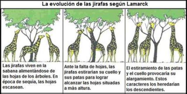 Jean-Baptiste de Monet de Lamarck.