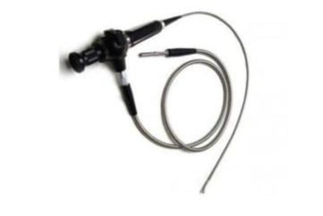 GEORGE BERCY Y CAMRAN NEZHAT