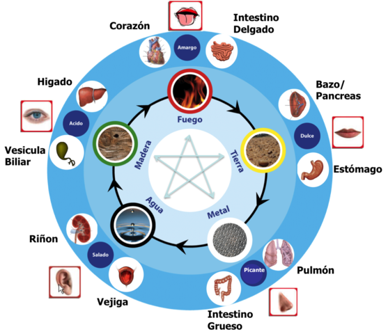 Medicina Ayurvédica