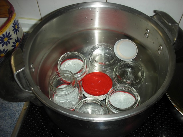 El arte de preservar sustancias animales y vegetales por muchos años