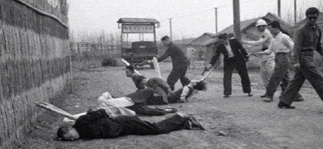 White Terror and the Purification Movement