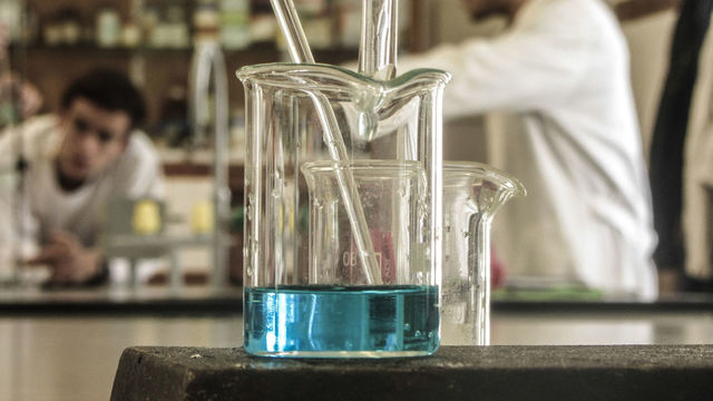 Características de los productos alimenticios