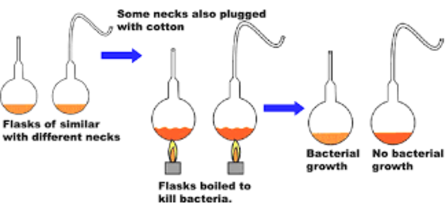 Experiment de Pasteur