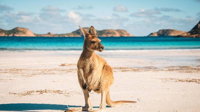 Austraalia liigub Põhja