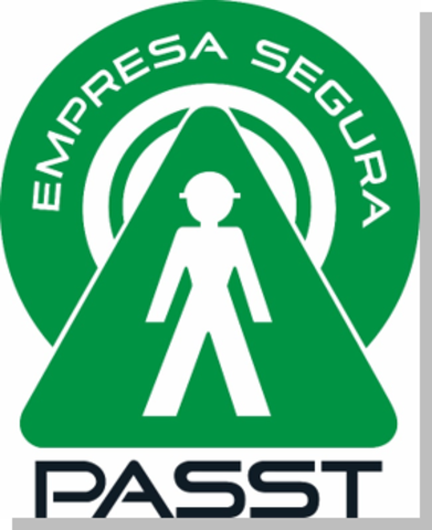 2002 lineamientos generales para el PASST