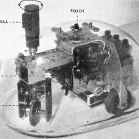 tortue cybernétique