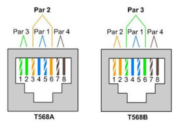 Cambio en los estandares