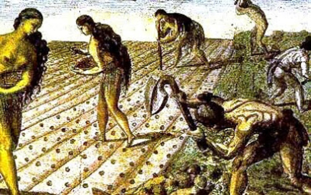 Primeras actividades (10000-7000 a.C.)