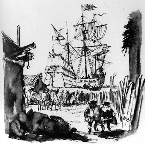 Creación de Cédula