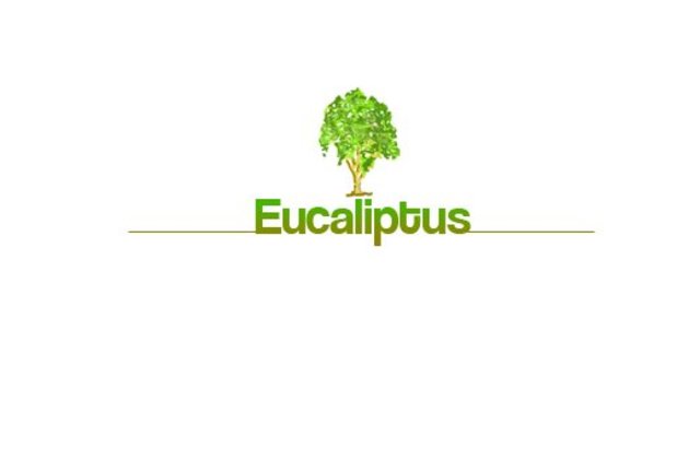 Eucalyptus