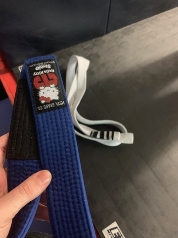 Blue Belt Obtained