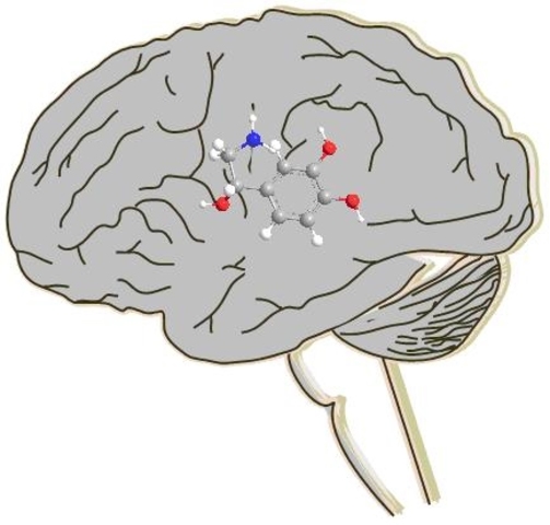 Claude Bernard,Paul Ehrlich,John Langley (Final del siglo XIX)
