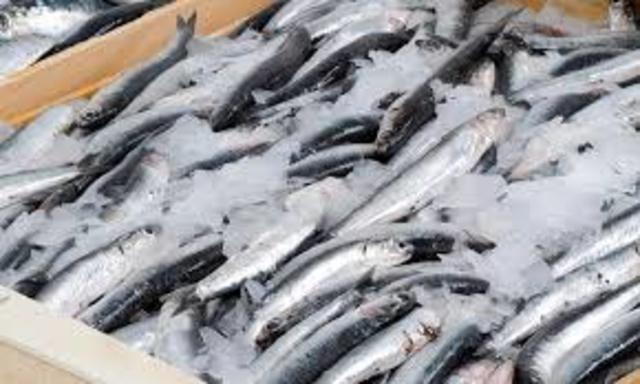 Conservación de alimentos