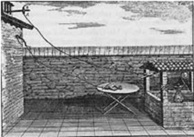 electricidad en animales