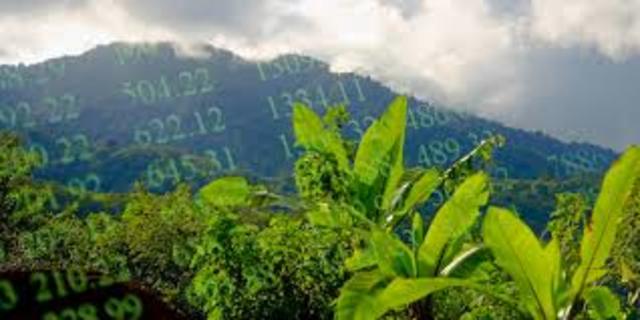 Sostenibilidad ambiental del capital natural