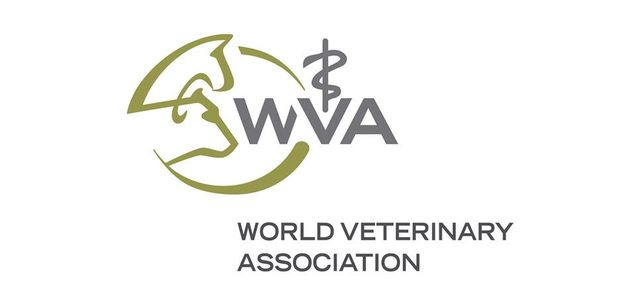 WORLD VETERINARY  ASSOCIATION