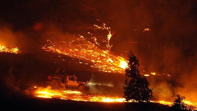VIERNES NEGRO, INCENDIO FORESTAL EN  VICTORIA AUSTRALIA