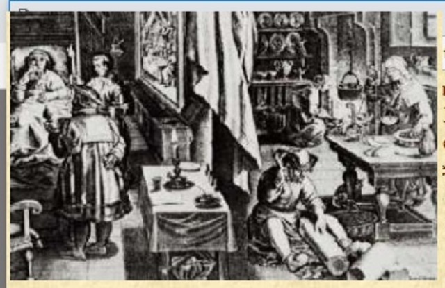 De Plantis Libri XVI"