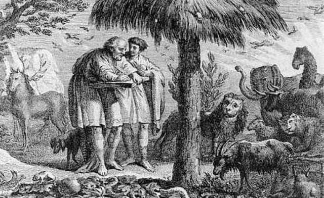 Aristoteles y el comportamiento animal