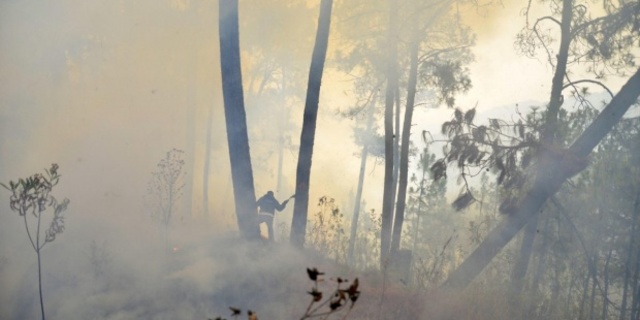 Desastre humano: Incendio Forestal