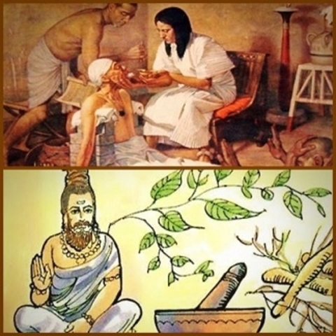 Reseña sobre el surgimiento de la herbolaria