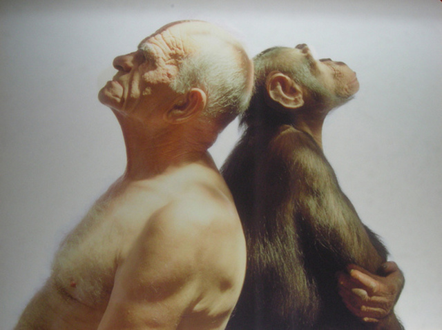 Descripción de etología