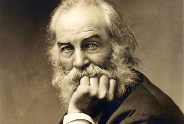 Whitman.