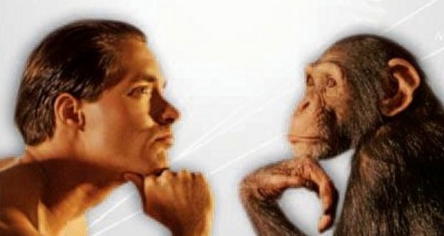 Surje la Sociobiologia