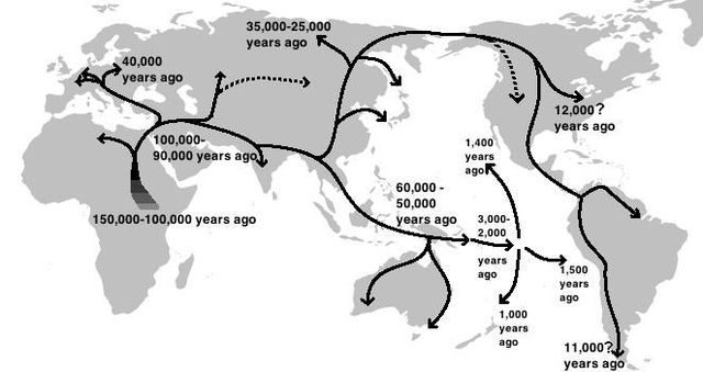 Out of Africa Theory