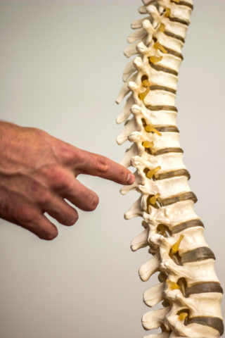 Inicios de la Quiropractica