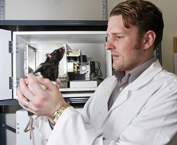 UAA Research Assistant