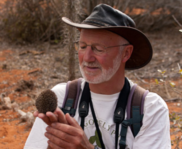 Desarrollo de la ecología del comportamiento