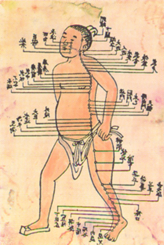 206 A.C Primer periodo