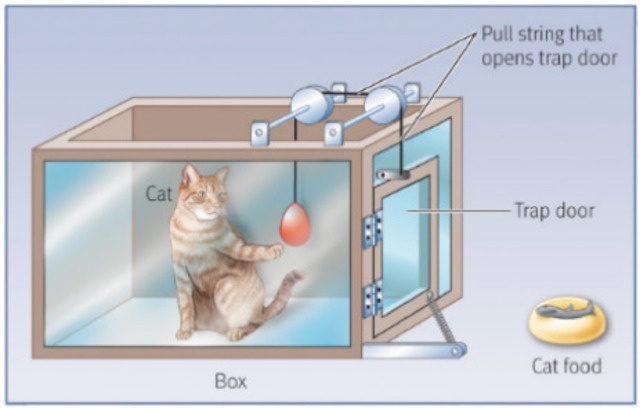 LEY DE EFECTO de Thorndyke. 1874-1949
