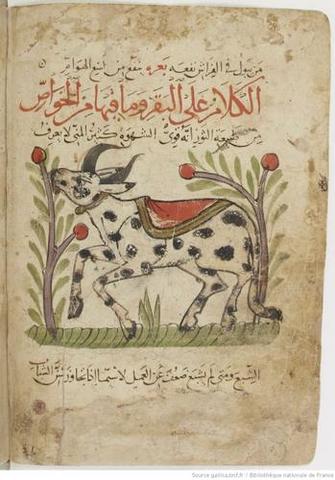 En el siglo IX Al-jahiz