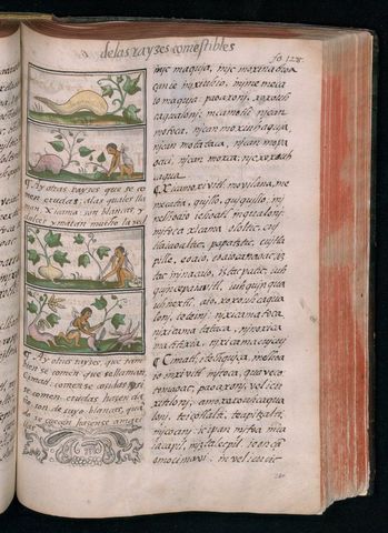 Antecedentes historicos