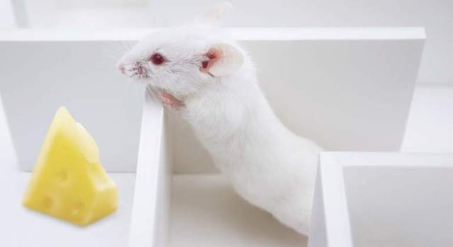 Experimento Kerplunk