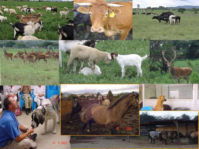 Aparicion de la etologia