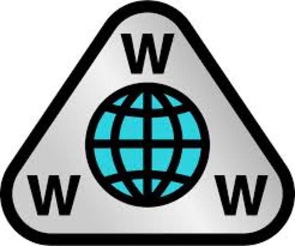 The Release of the World Wide Web to the Public