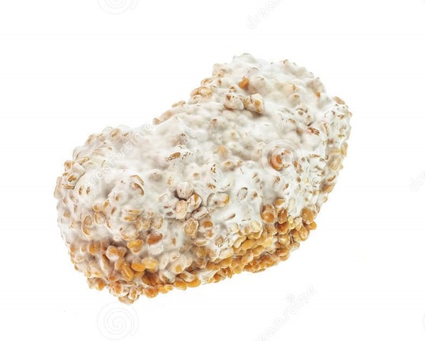 Primer antibiótico.