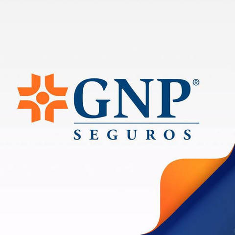 Aseguradora Porvenir GNP