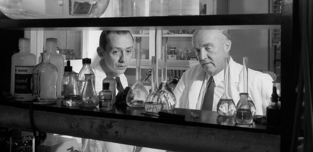 Discovery of insulin