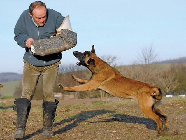 Primera Mitad del siglo XX