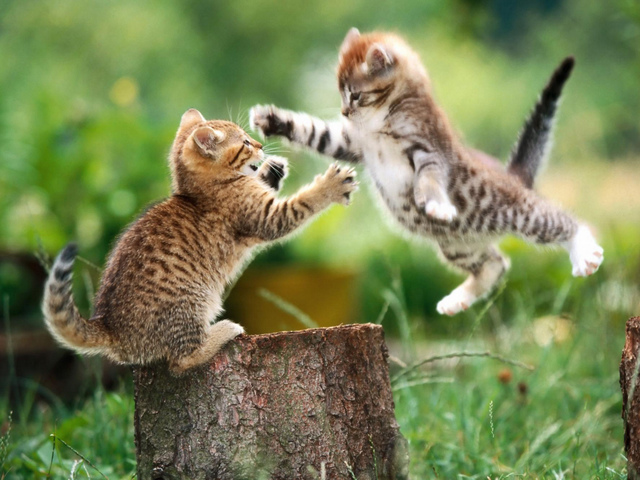 La teoría de juegos