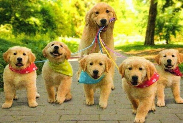 Segunda Mitad del siglo XX