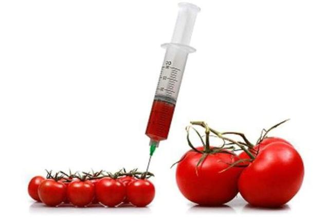 Se aprueban alimentos transgénicos.