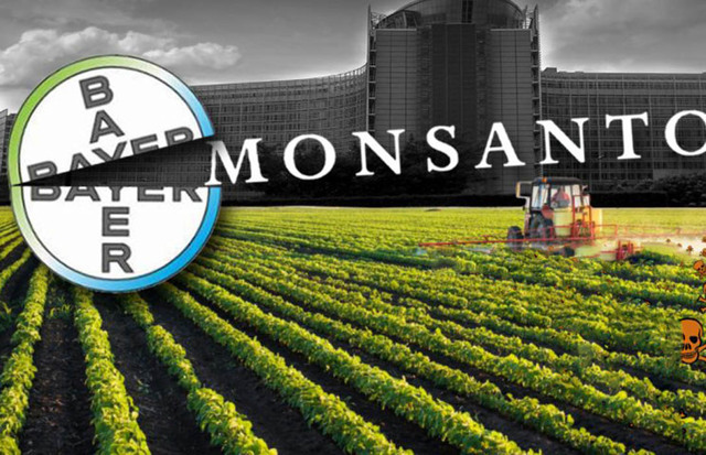 Monsanto.