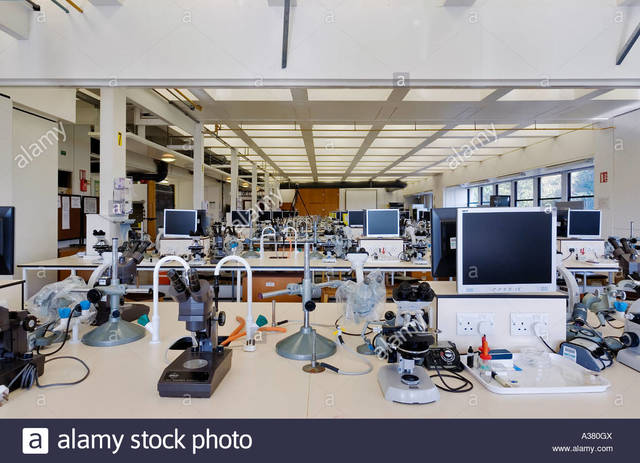 Conferencia de comportamiento animal