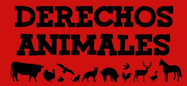 Derechos del animal