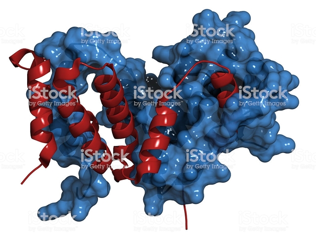 Fármaco anti-cancerígeno.